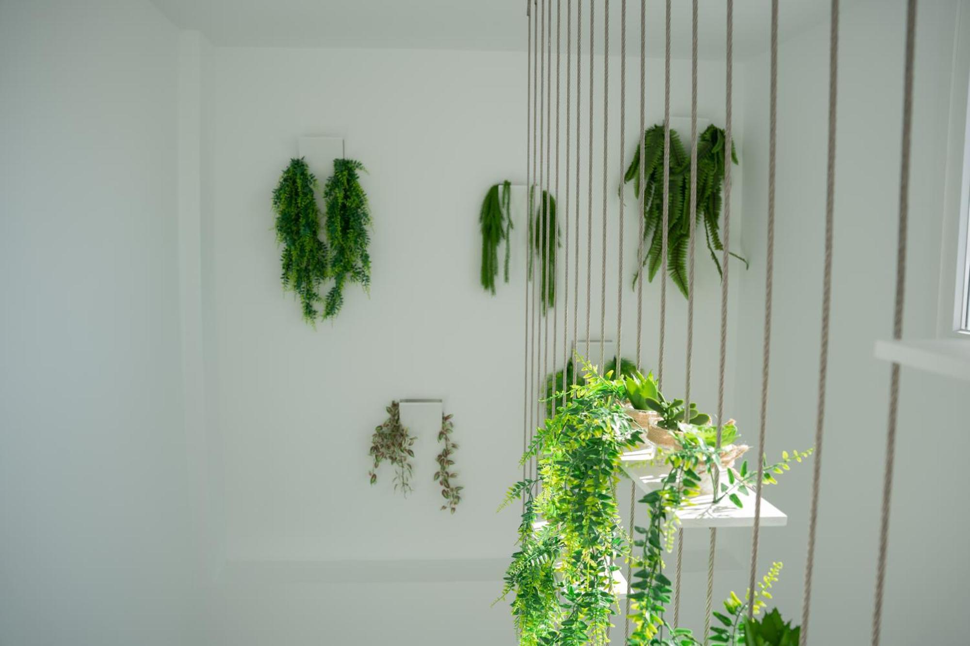 Apartamentos Alsa Conil 콘일데라프론테라 외부 사진